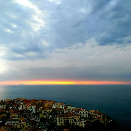 Desideria A Pizzo *